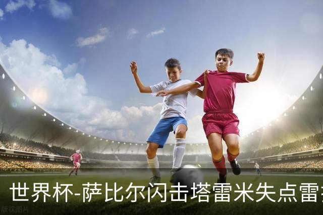 世界杯-萨比尔闪击塔雷米失点雷扎伊扬扳平 半场埃及1-1伊朗