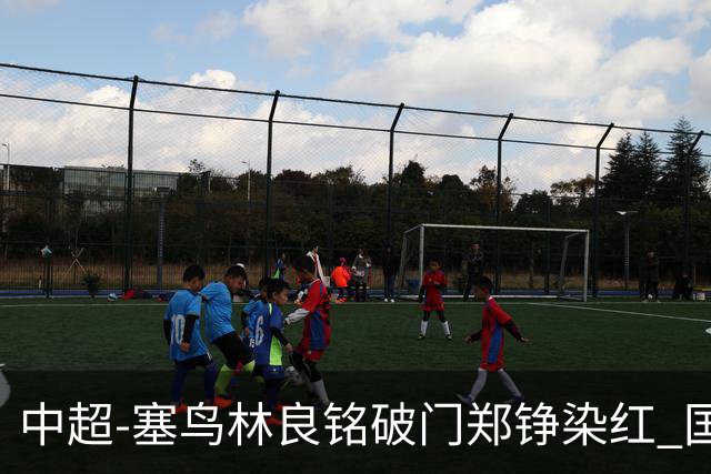 中超-塞鸟林良铭破门郑铮染红 国安2-0泰山取三连胜