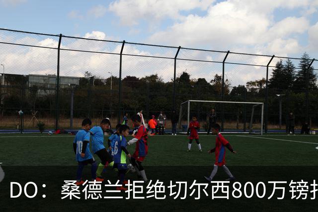 DO：桑德兰拒绝切尔西800万镑报扎卡 认为该报价不尊重球员与球队